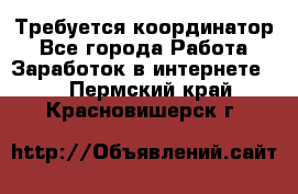 Требуется координатор - Все города Работа » Заработок в интернете   . Пермский край,Красновишерск г.